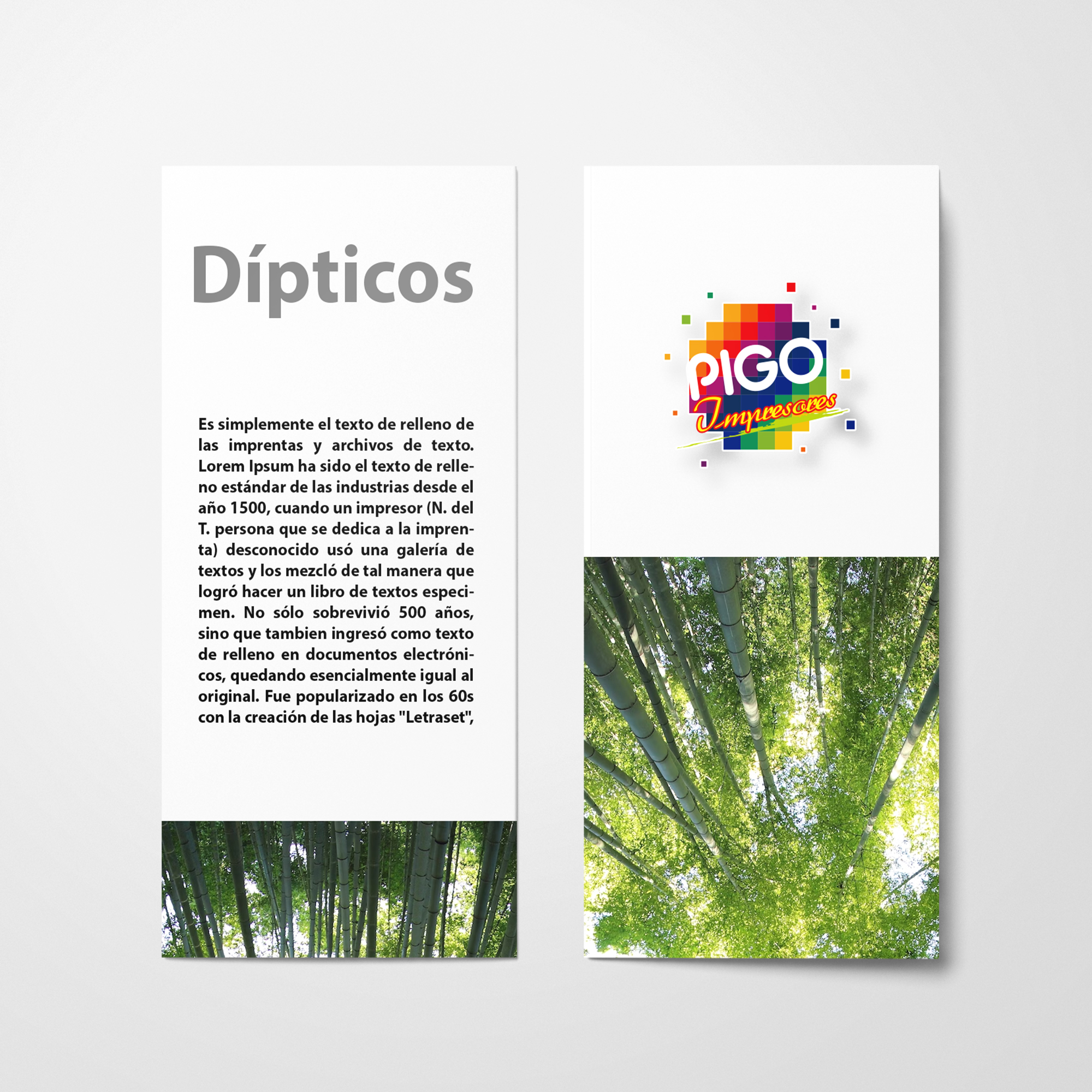 Imagen de un diptico